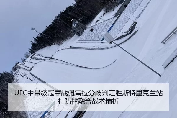 UFC中量级冠军战佩雷拉分歧判定胜斯特里克兰站打防摔融合战术精析