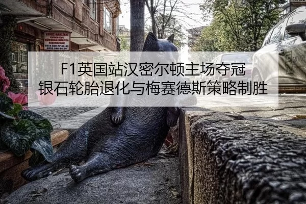 ying-guo-zhan-han-mi-er-dun-zhu-chang-duo-guan-yin-shi-lun-tai-tui-hua-yu-mei-sai-de-si-ce-lve-zhi-sheng-2-312.jpg